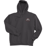 Scary Badgers Super Heavyweight Fleece Hoodie